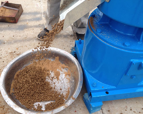 小型魚(yú)飼料顆粒機視頻