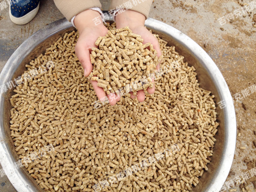 新購買(mǎi)的飼料顆粒機設備研磨步驟四